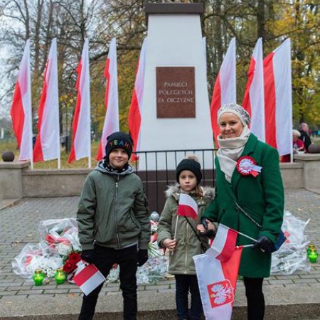 Wyświetl org. rozmiar