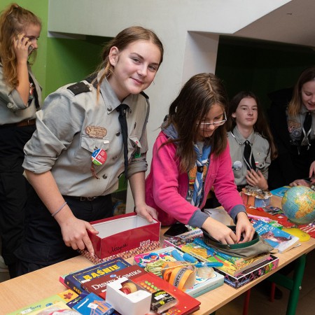 Wyświetl org. rozmiar