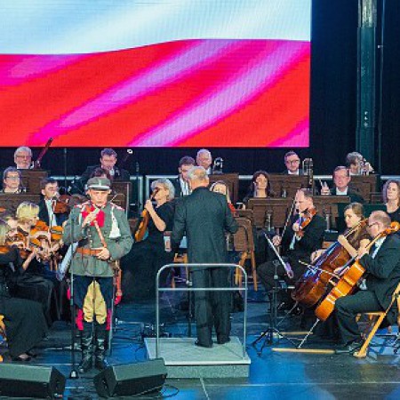 Wyświetl org. rozmiar