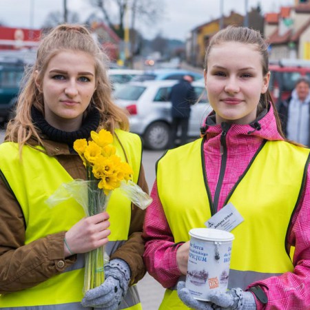 Wyświetl org. rozmiar
