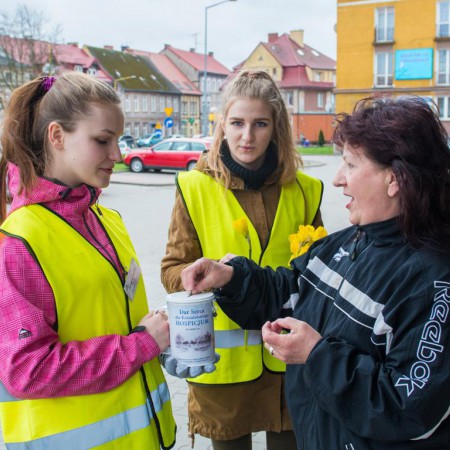 Wyświetl org. rozmiar