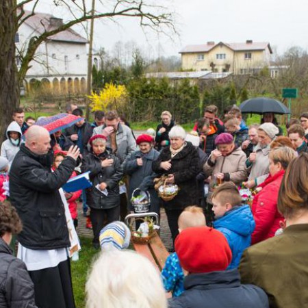 Wyświetl org. rozmiar
