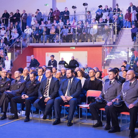 Wyświetl org. rozmiar