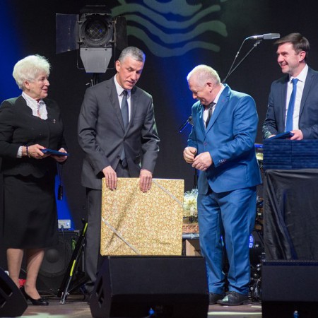 Wyświetl org. rozmiar