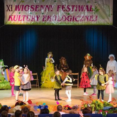 Wyświetl org. rozmiar