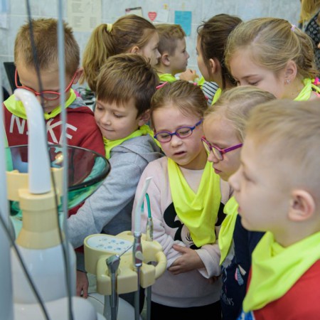 Wyświetl org. rozmiar