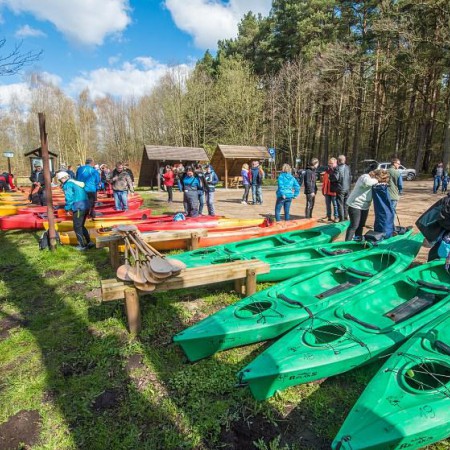 Wyświetl org. rozmiar