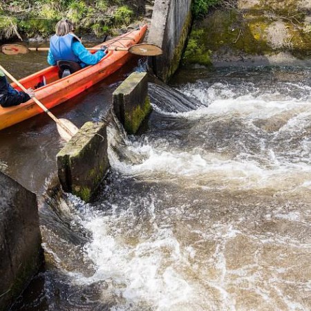 Wyświetl org. rozmiar