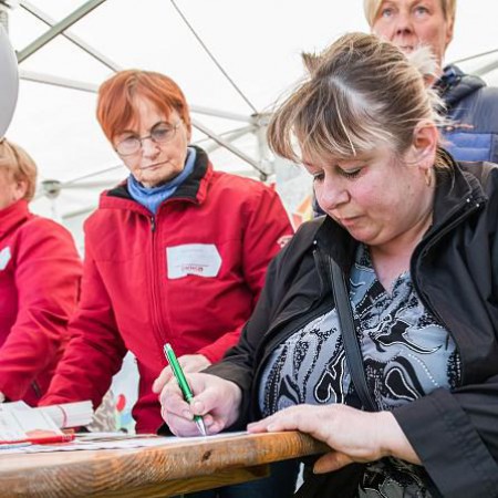 Wyświetl org. rozmiar