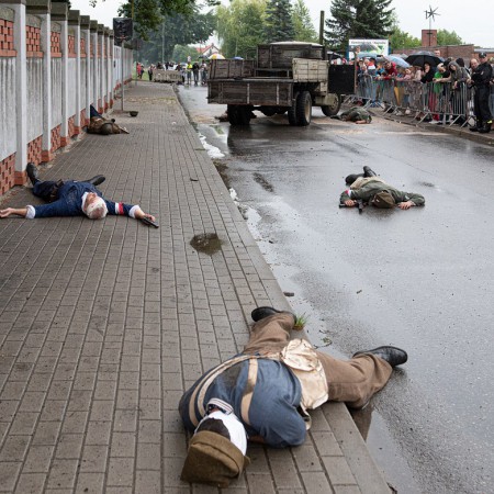 Wyświetl org. rozmiar