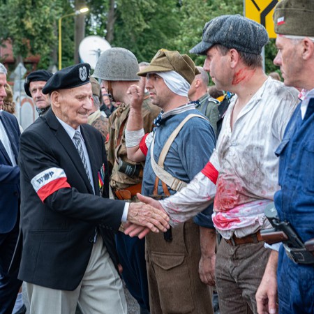 Wyświetl org. rozmiar