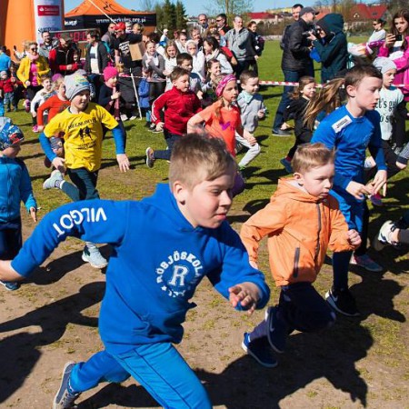 Wyświetl org. rozmiar