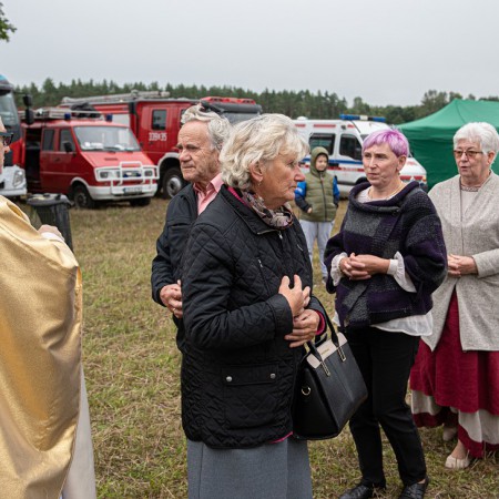 Wyświetl org. rozmiar