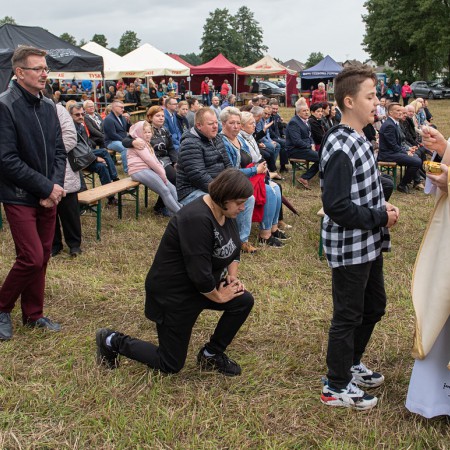 Wyświetl org. rozmiar