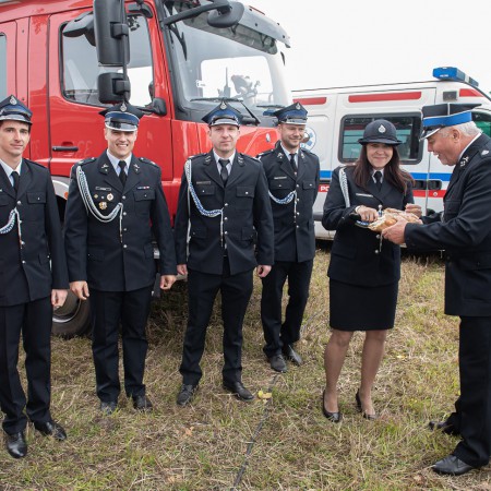 Wyświetl org. rozmiar