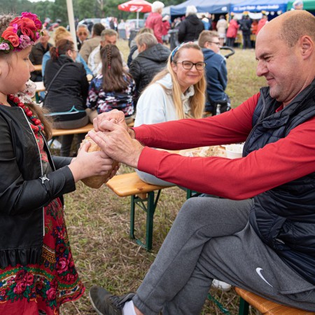 Wyświetl org. rozmiar