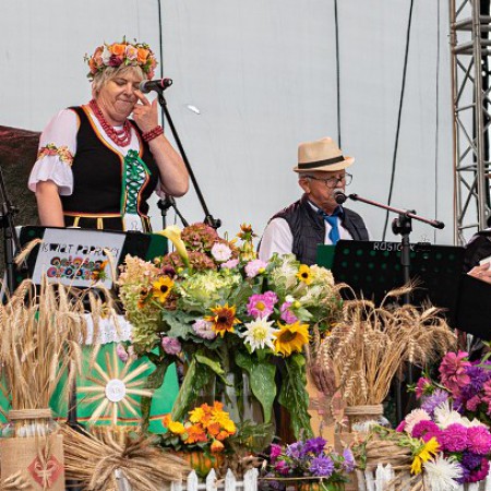 Wyświetl org. rozmiar