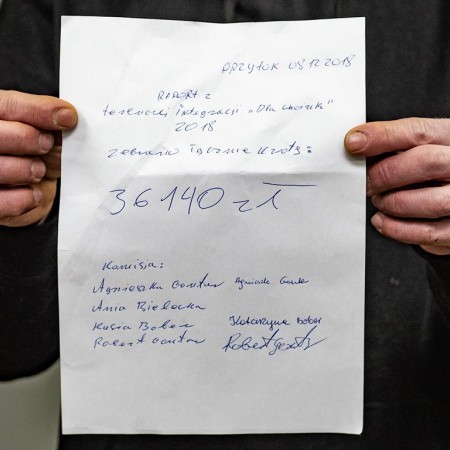 Wyświetl org. rozmiar