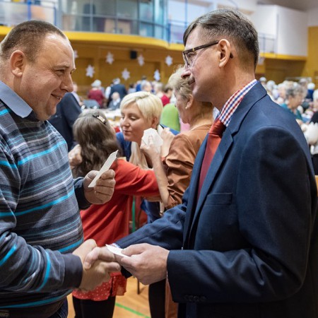 Wyświetl org. rozmiar