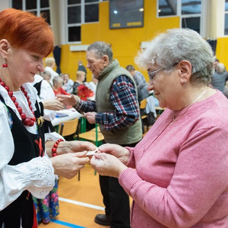Wyświetl org. rozmiar