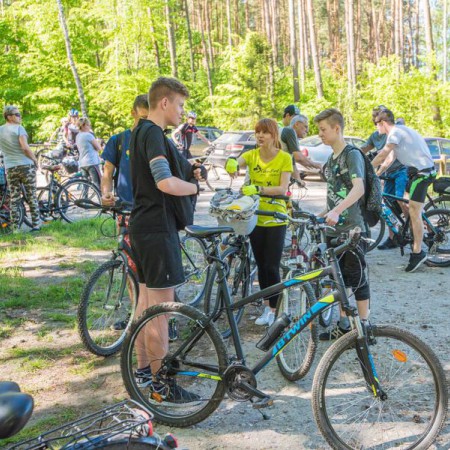 Wyświetl org. rozmiar