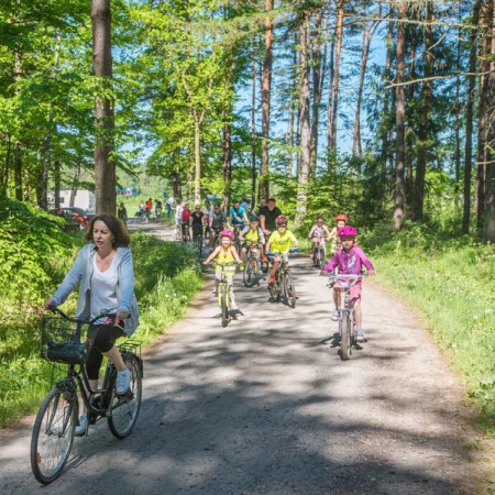 Wyświetl org. rozmiar