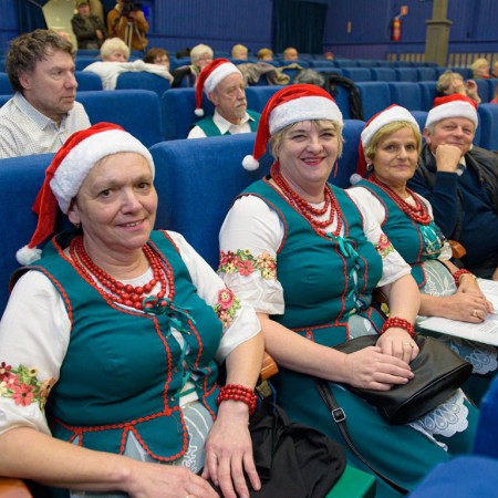 Wyświetl org. rozmiar
