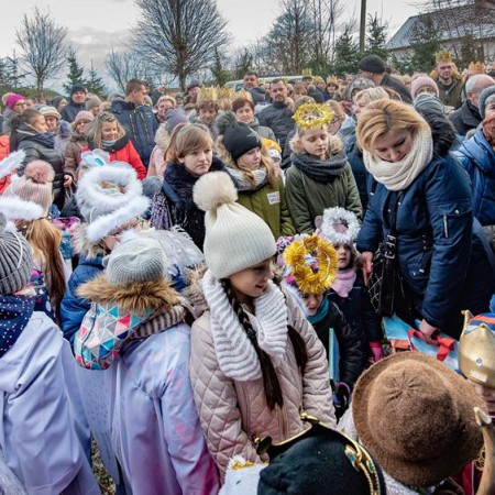 Wyświetl org. rozmiar
