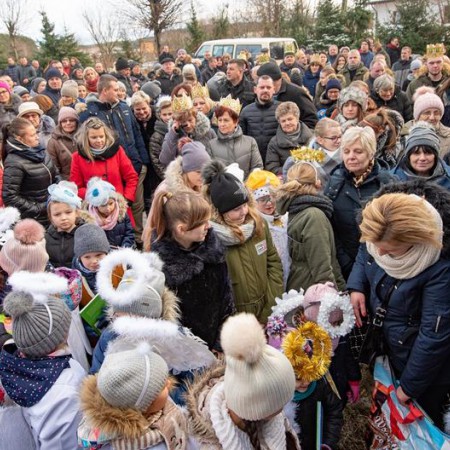 Wyświetl org. rozmiar