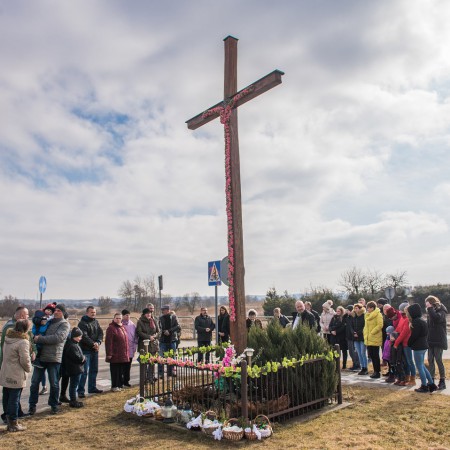 Wyświetl org. rozmiar