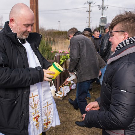 Wyświetl org. rozmiar
