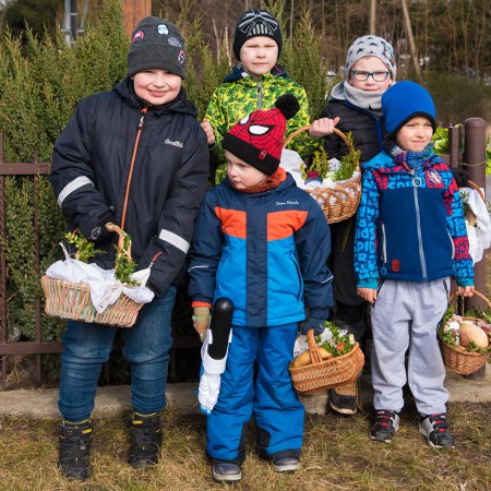 Wyświetl org. rozmiar