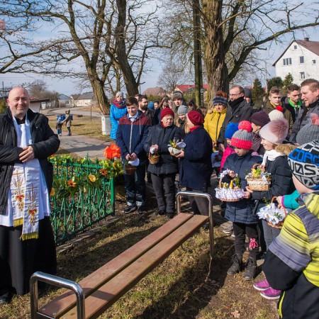 Wyświetl org. rozmiar