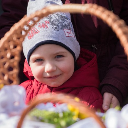 Wyświetl org. rozmiar
