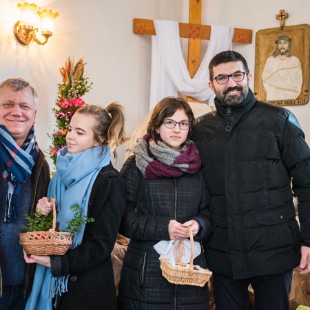 Wyświetl org. rozmiar