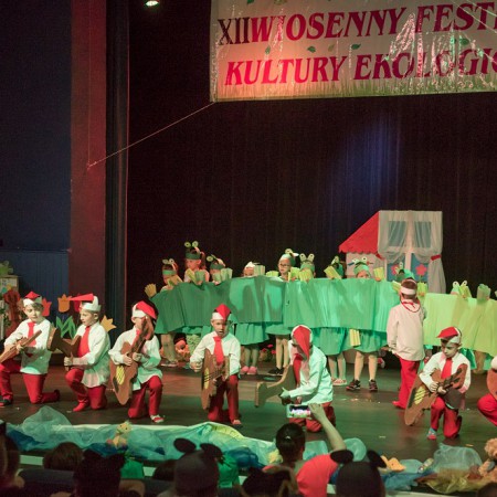 Wyświetl org. rozmiar