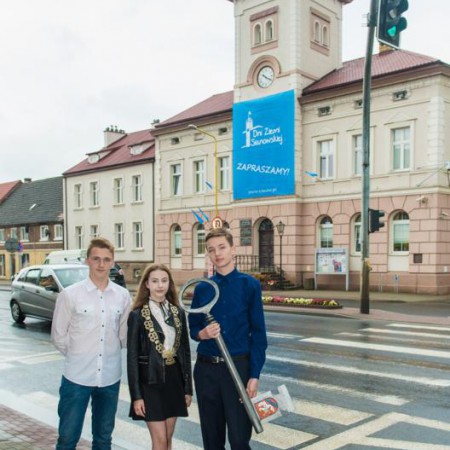 Wyświetl org. rozmiar