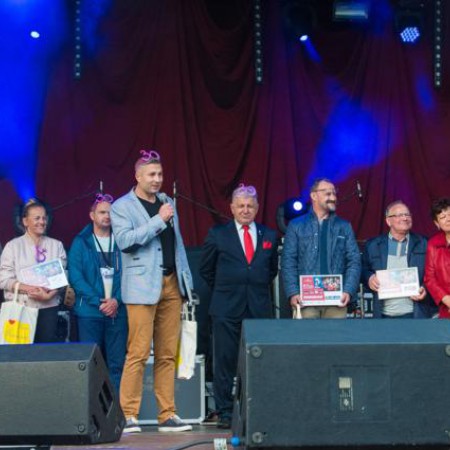 Wyświetl org. rozmiar