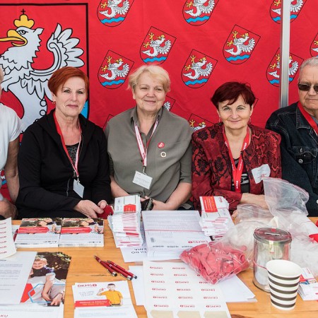 Wyświetl org. rozmiar