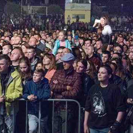 Wyświetl org. rozmiar