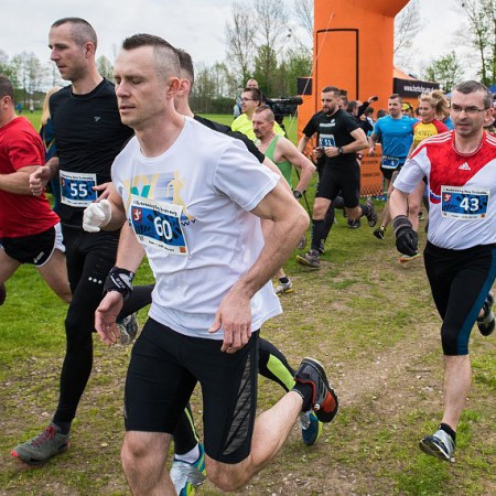 Wyświetl org. rozmiar