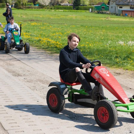 Wyświetl org. rozmiar