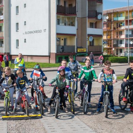 Wyświetl org. rozmiar