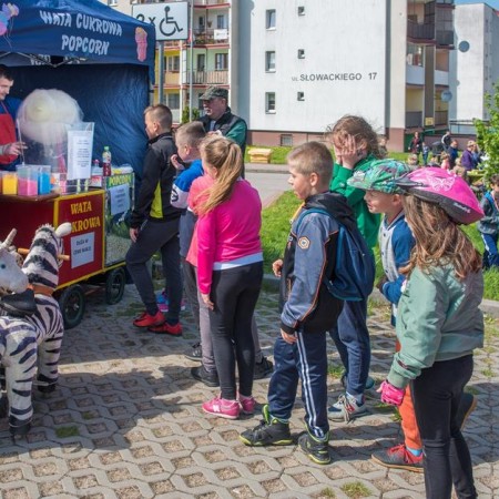 Wyświetl org. rozmiar