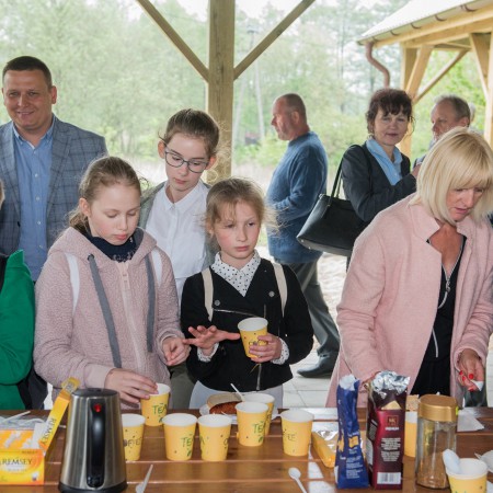 Wyświetl org. rozmiar