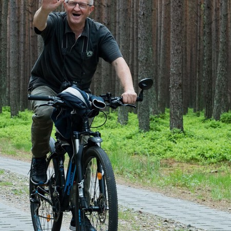 Wyświetl org. rozmiar