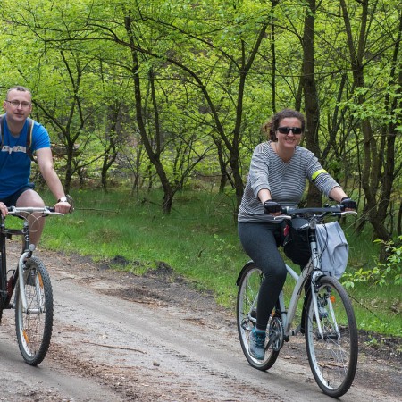 Wyświetl org. rozmiar