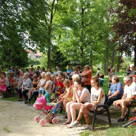 Wyświetl org. rozmiar