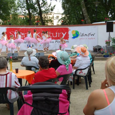 Wyświetl org. rozmiar