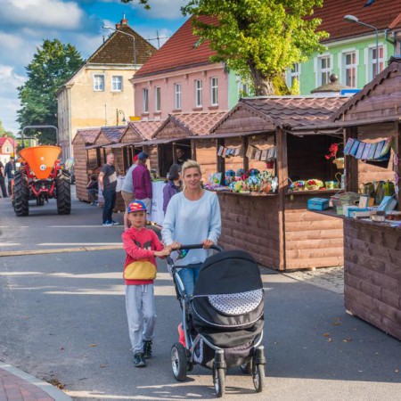 Wyświetl org. rozmiar